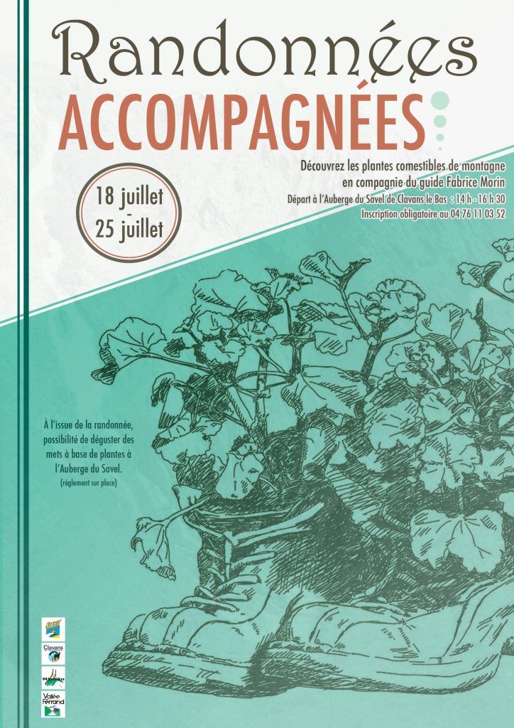Randonnée découverte des plantes comestibles Vallée du Ferrand