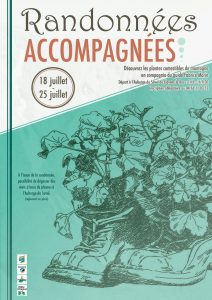 Randonnée découverte des plantes comestibles Vallée du Ferrand