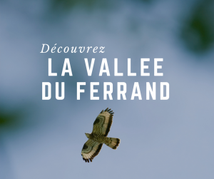 Tourisme & animation dans le Ferrand